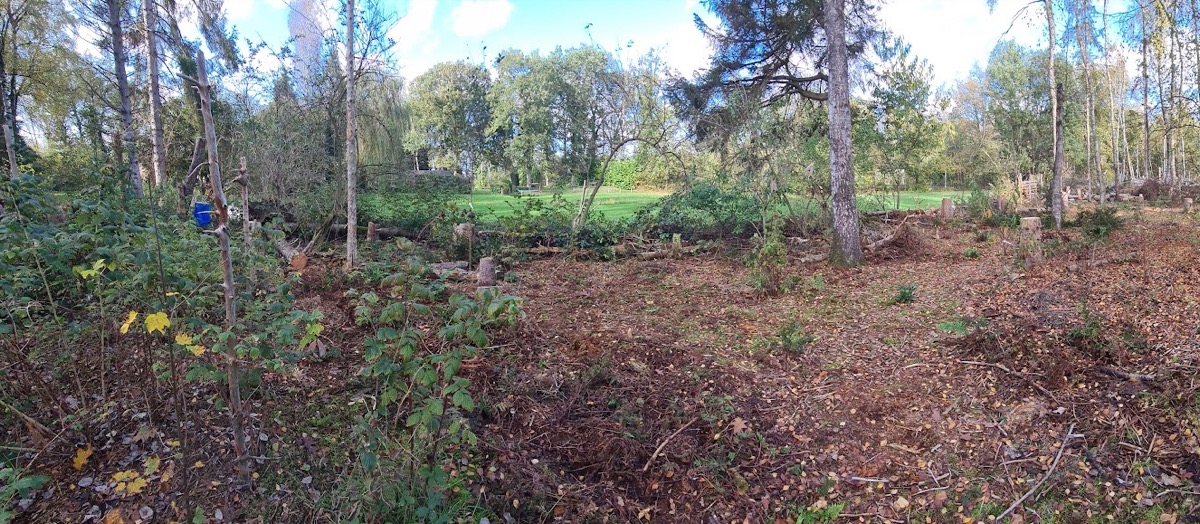 Brede blik over tuin en bos